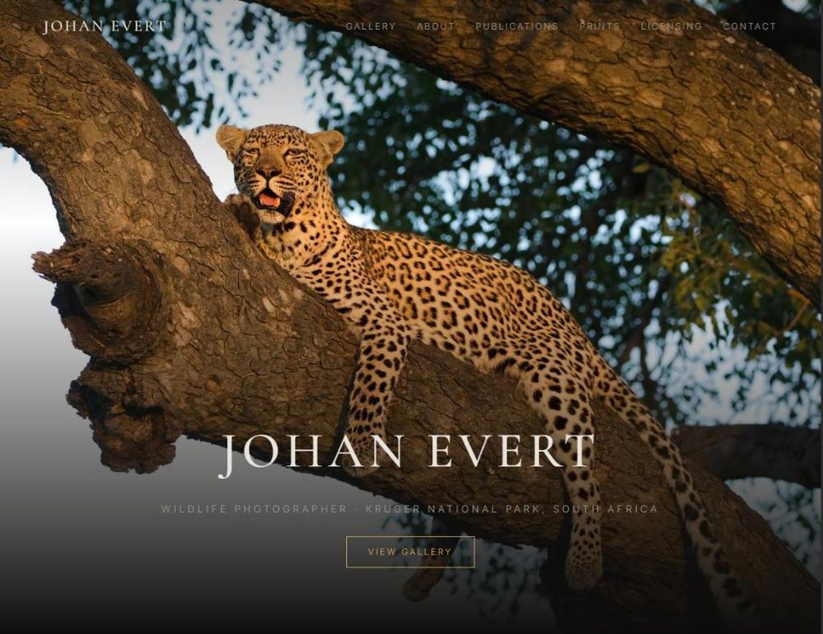 The Johan Evert Wildlife homepage: a leopard resting along a branch in golden light, with the photographer's name over it and a View Gallery button.